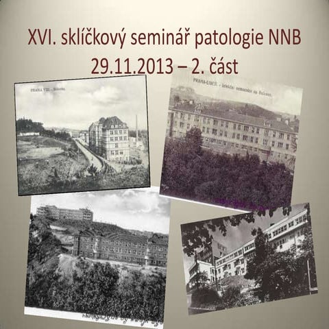 XVI. sklíčkový seminář patologie NNB (2. část)
