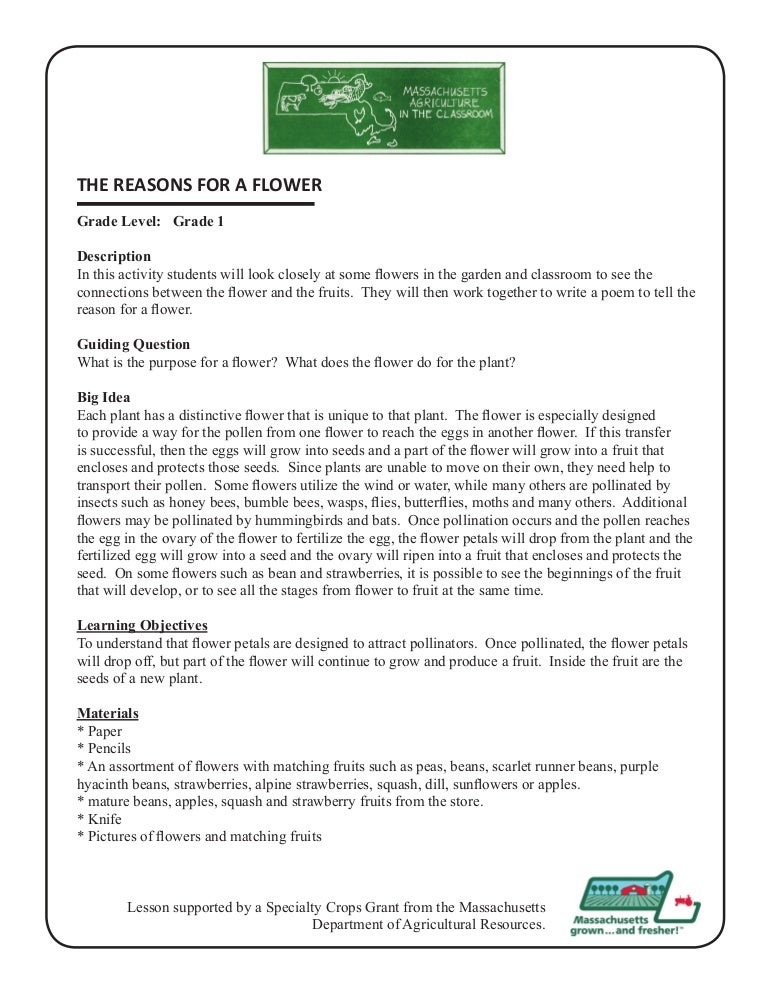 Grade 1 School Garden Lesson Plan - Pollination Lesson; Reason for a