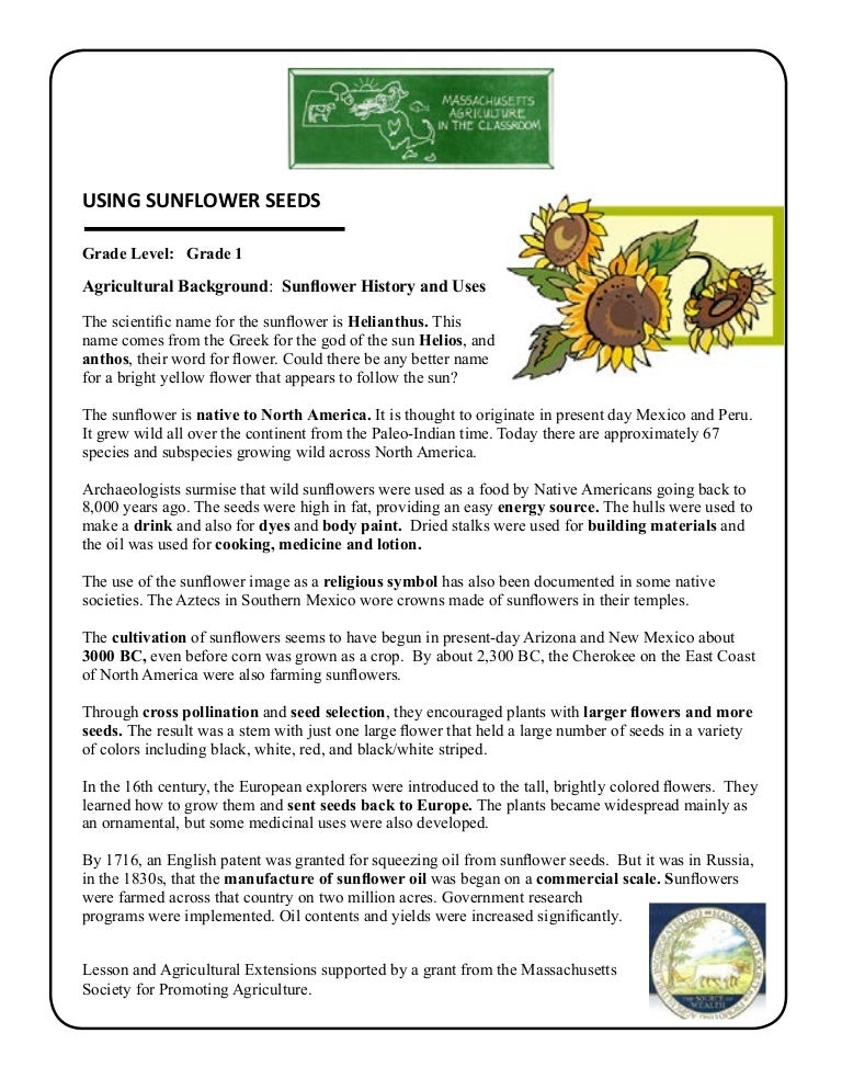 Grade 1 School Garden Lesson Plan Using Sunflower Massachusetts