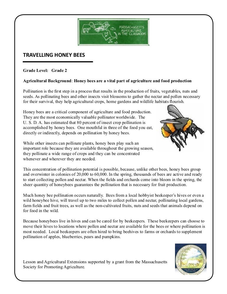 Grade 2 School Garden Lesson Plan - Pollination Lesson; Travelling Ho…