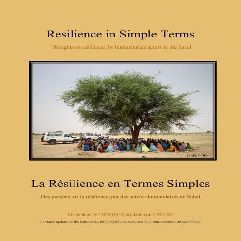 Resilience in Simple Terms