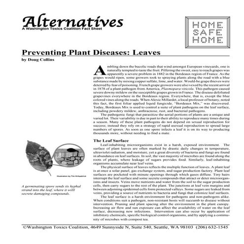 Preventing Plant Diseases: Leaves