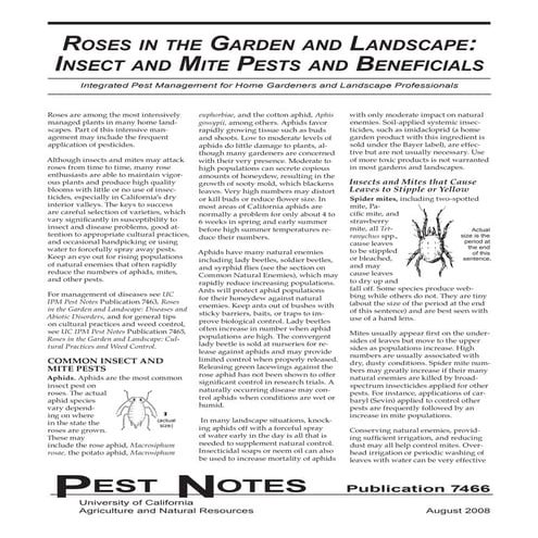 Roses in the Garden and Landscape: Integrated Pest Management | PDF