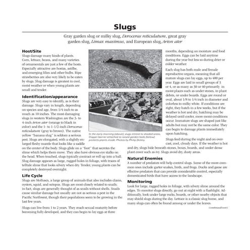 Slugs Integrated Pest Management | PDF