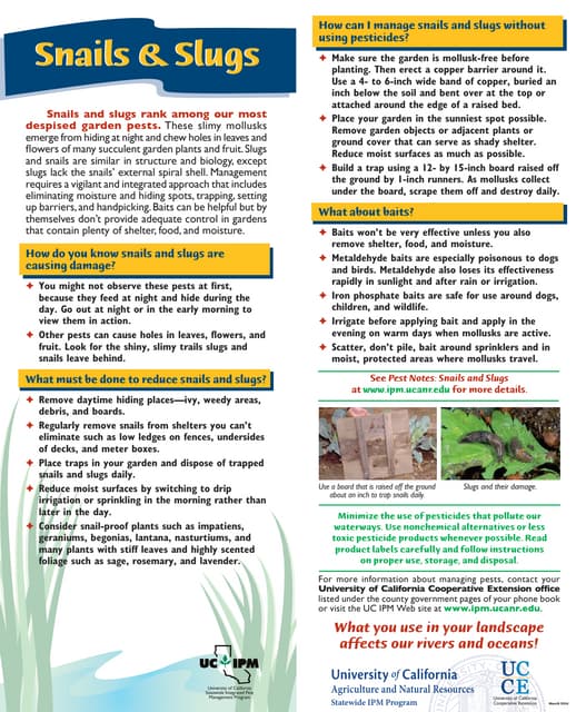 Snails & Slugs Natural Pest Control | PDF