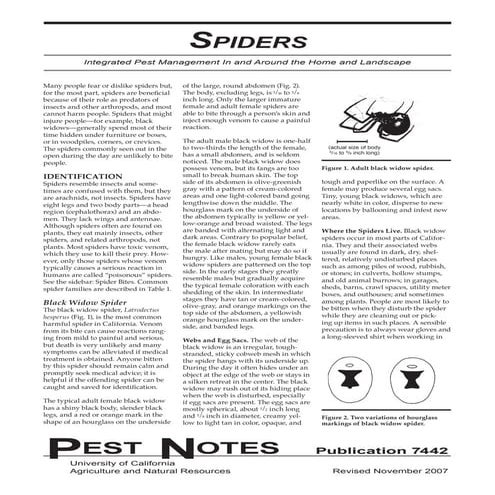 Spiders Integrated Pest Management