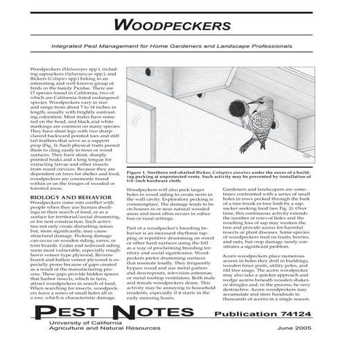 Carpenter Bees Integrated Pest Management | PDF