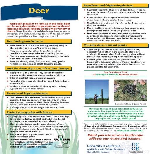 Deer Control Options | PDF