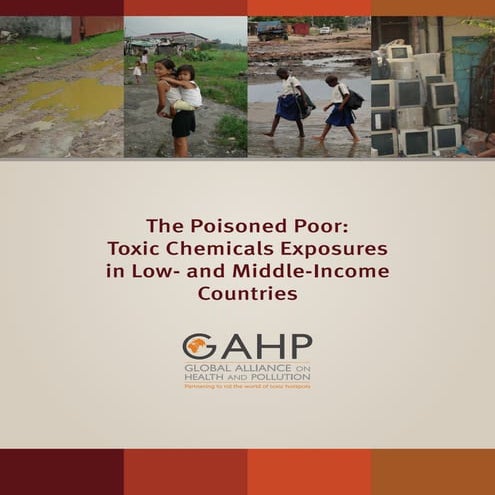 Chemical Toxicity and Poverty unequal exposure to harmful substances | PPTX
