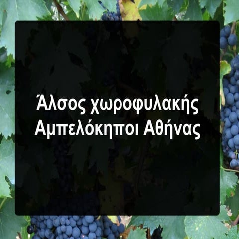 Άλσος Χωροφυλακής (Αμπελόκηποι Αθήνας)