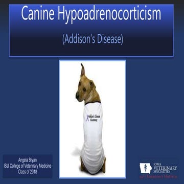 Image showcasing Canine Hypoadrenocorticism | PPTX