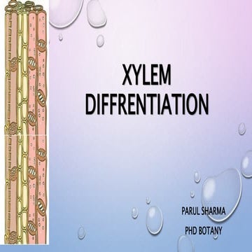 Anatomy- Cambium: Interfascicular and Intrafascicular Cambium | PPTX
