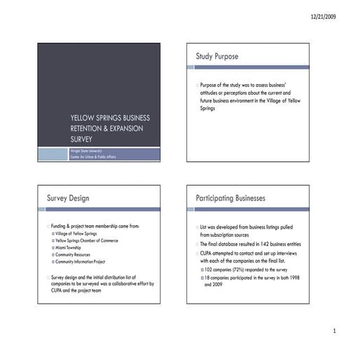 Yellow Springs Business Retention and Expansion Study Presentation