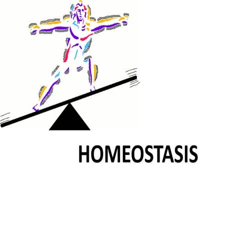 Homeostasis and thermoregulation. | PPTX
