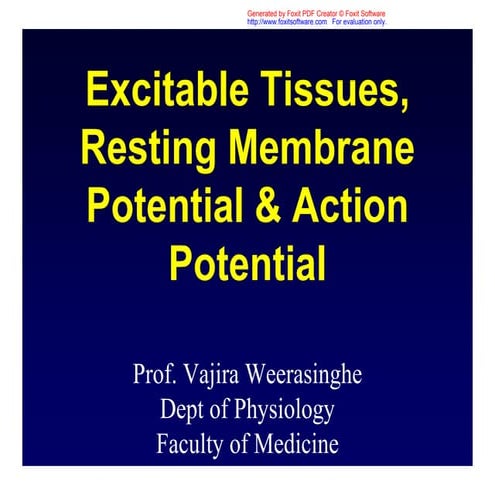 Resting membrane and action potentials RMP AP | PDF