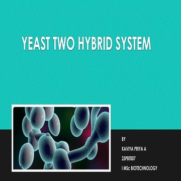 Yeast two hybrid system - principle, procedure, types, advantage and disadvan...