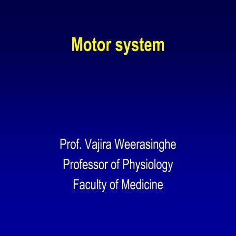 Y2 s1 motor system 2019