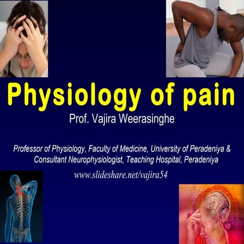 pain physiology Y2S1 2014