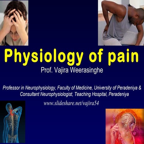 Y2 s1 pain physiology 2014