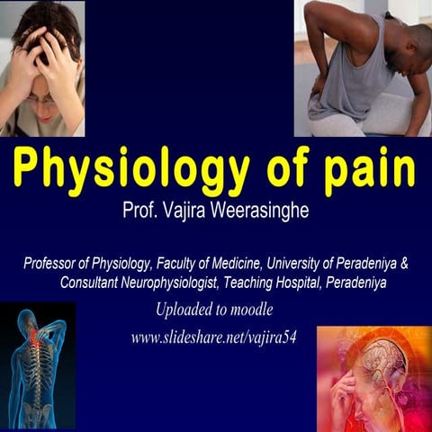 Y2 s1 pain physiology 2019