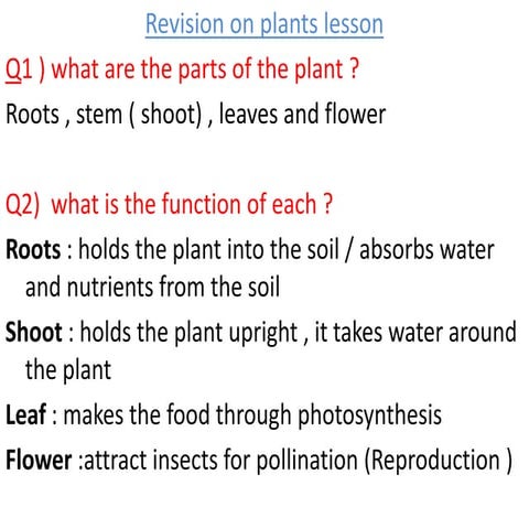 Y5 revision 3rd term