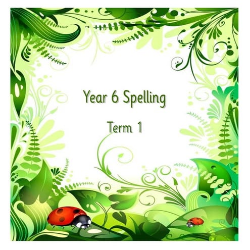 Y6 term1