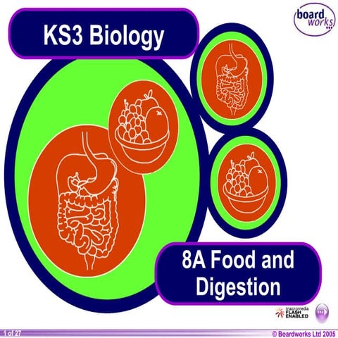 Y8-Food-and-Digestion.ppt