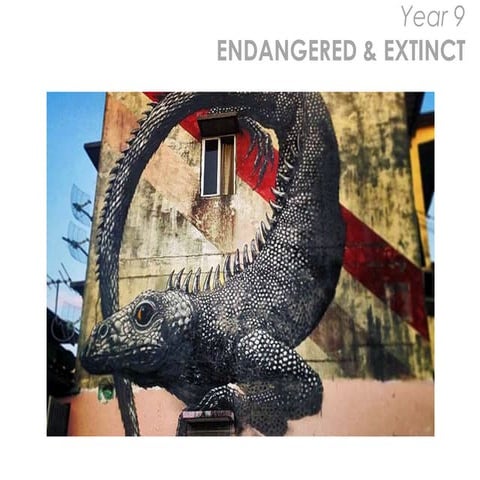 Artist Showcase - Endangered & Extinct