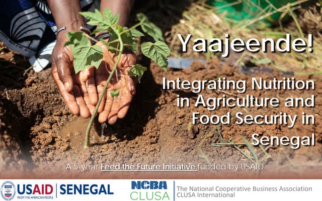 Integrating Nutrition in Agriculture in Senegal