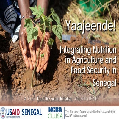 Integrating Nutrition in Agriculture in Senegal