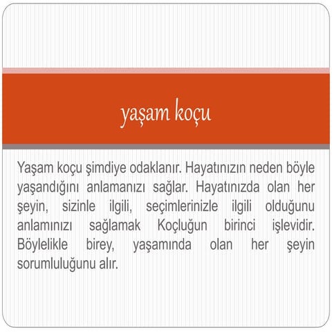 Yaşam koçu