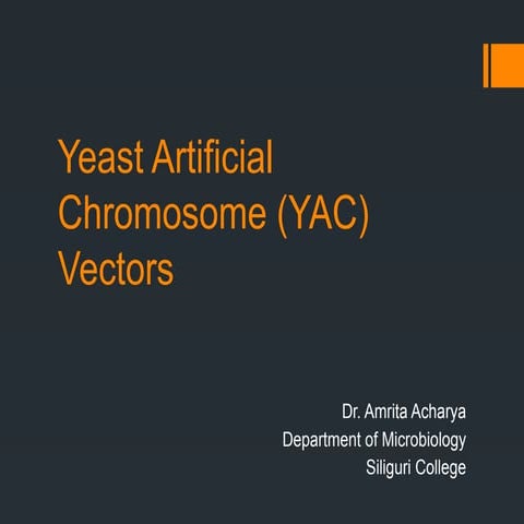 Lecture BAC YAC.pptx