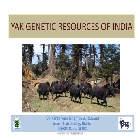 Yak genetic resources of india