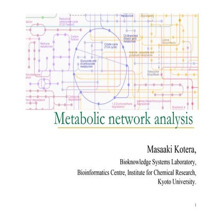Metabolic Network Analysis