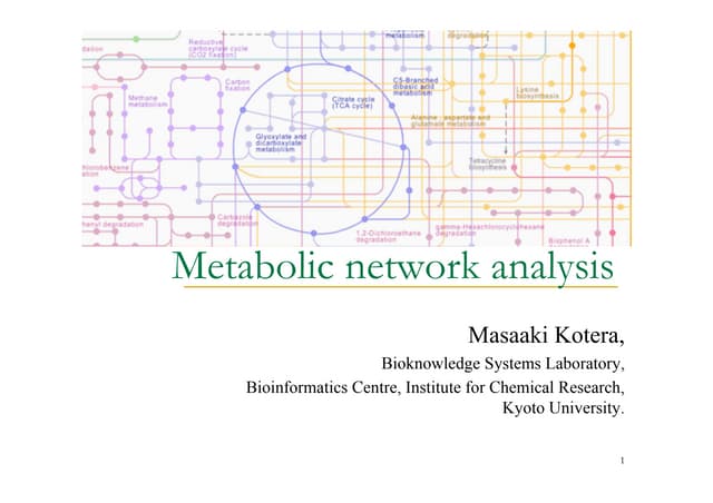 Metabolic Network Analysis