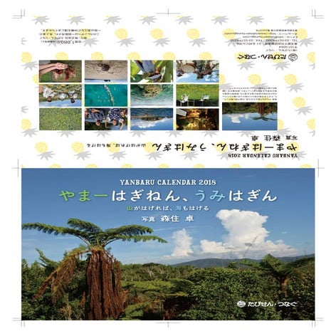 Yanbaru 2018-nyuko[45815]