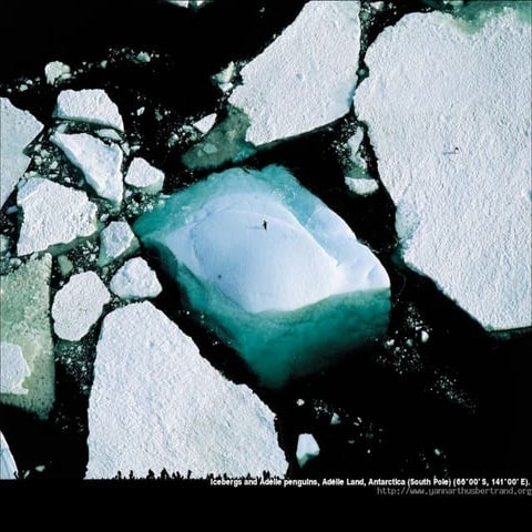 Yann Arthus Bertranr