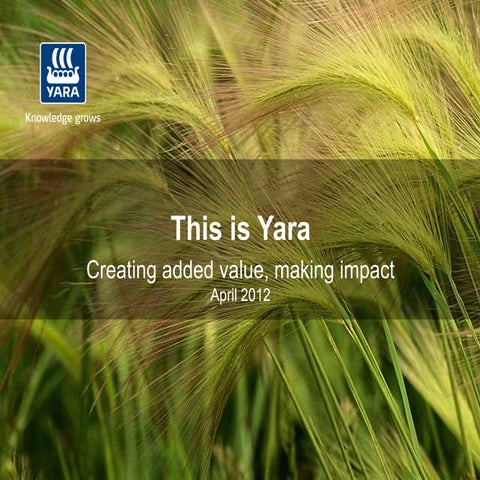Yara International Corporate Presentation 2012
