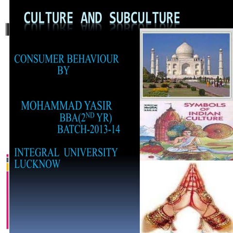culture and sub culture