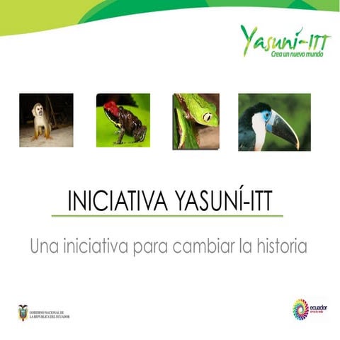 Yasuni itt