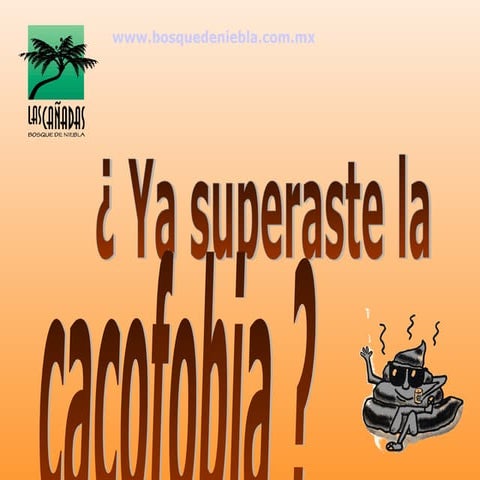¿Ya superaste la cacofobia?