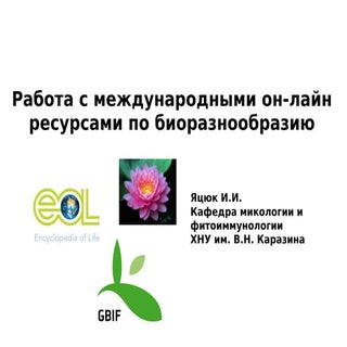 Yatsjuk I. Working with internation...