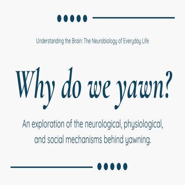 Why do we yawn? from a neurobiological perspective | PDF