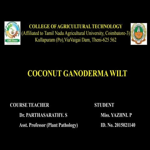 Coconut Ganoderma Wilt