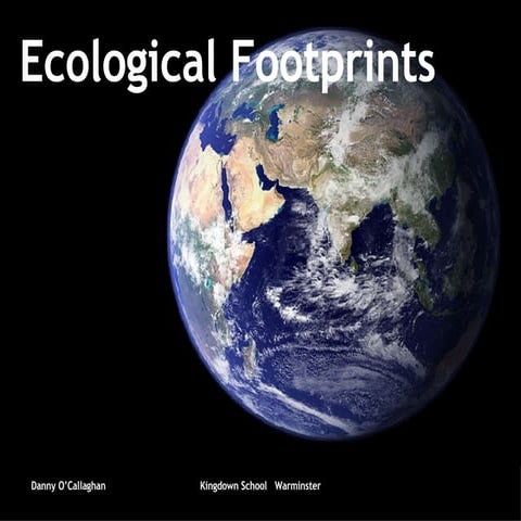 Year 9 Ecological Footprints