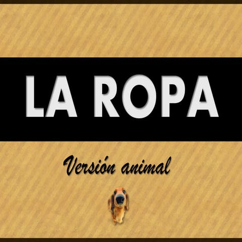 Animals + Clothing (Revision)