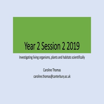 Year 2 session 2 201920 ct bb