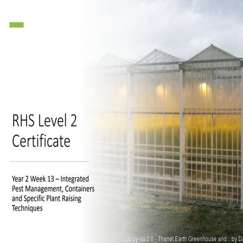 Year 2 week 13 presentation revised