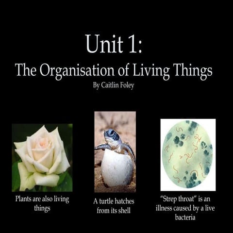 The organisation of living things