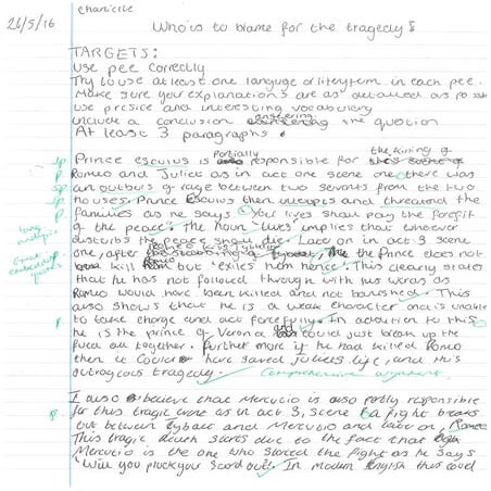 Year 8 blame essay Chanielle